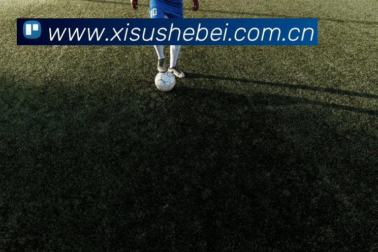 年NBA总决赛:詹姆斯首冠与热火队的冠军时刻